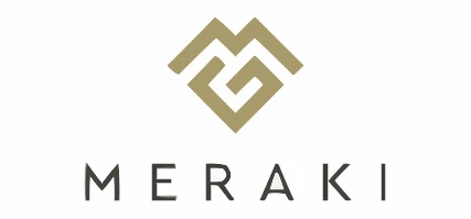 Meraki Developers