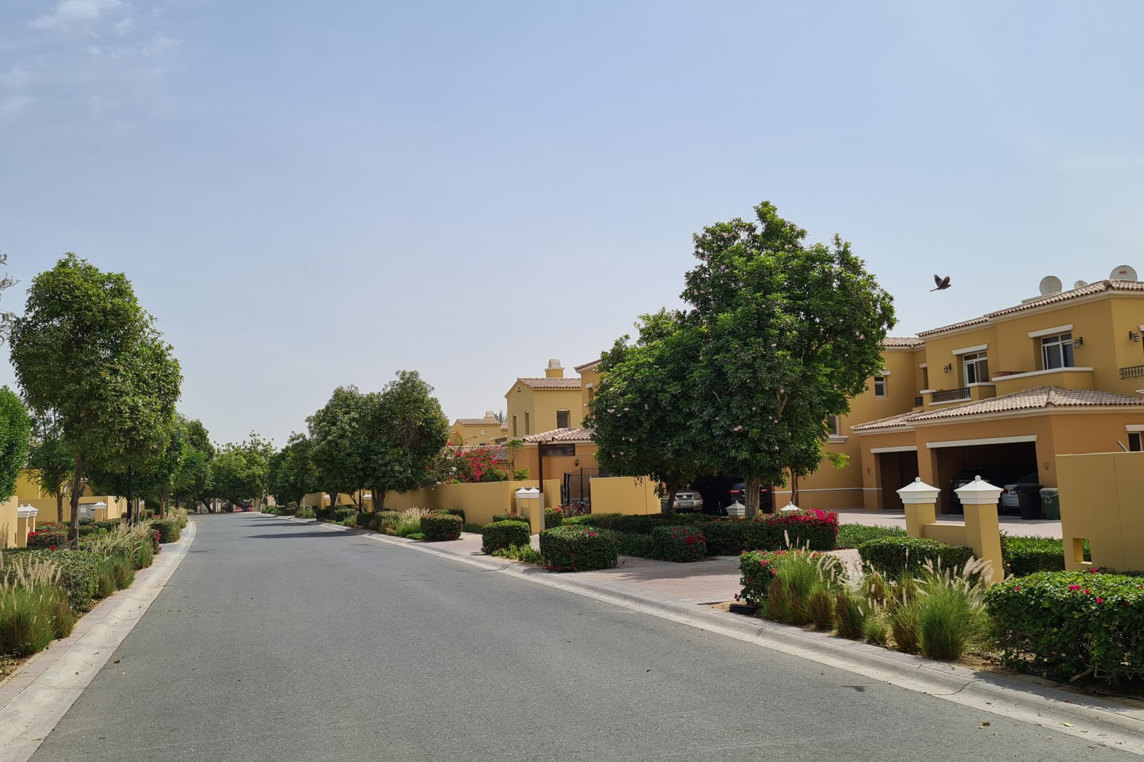 Palmera 3 in Arabian Ranches