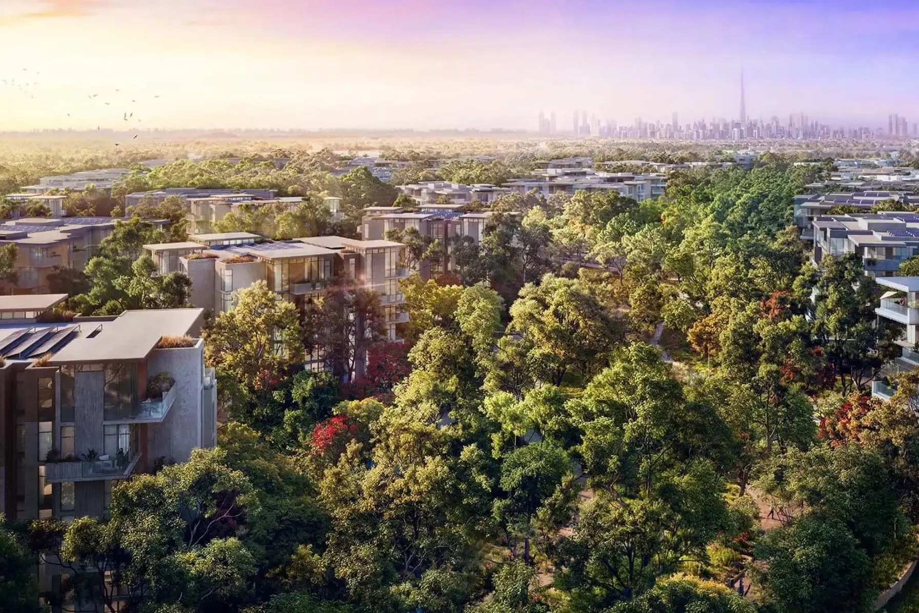 Serra at Ghaf Woods by Majid Al Futtaim