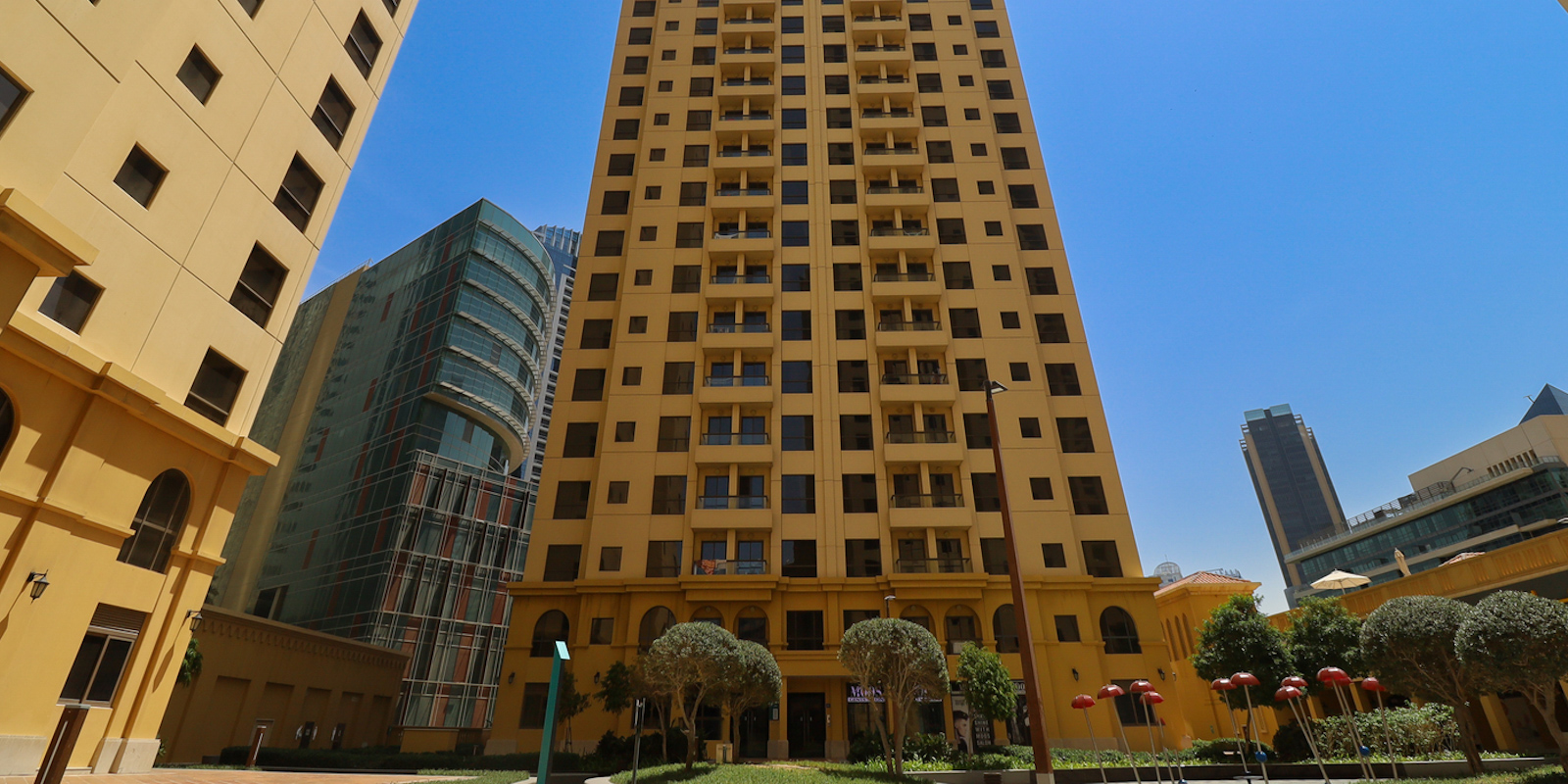Bahar 6